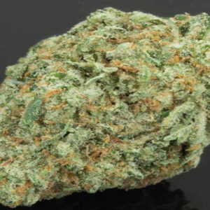 cali kush strain, cali kush strain weight loss, cali kush strain for anxiety, cali kush strain hytiva, cali kush strain reviews, kali og strain reviews, cali kush weed strain, colonial kush strain, cali kush cannabis strain, cali packs 3 5, what is cali weed, Cali Bags, Cali Packs USA, Cali buds shop, Custom cali packs, Strain Bags, 420 shop, cali kush cannabis strain review, cali kush cake strain, cali kush haze strain, cali og kush haze strain, c strain indica or sativa for anxiety, cali kush sativa or indica, critical kush strain review, daily kush cake strain, kush mountains strain review, Cali Pack Bags, Custom cali packs, Die-Cut Cali Packs, Cali Pack Store, Cali buds shop, Cali strains 2024, Cali Xpress san diego, Cali Best buds, Top Cali strains 2024, Top 10 Cali strains, Best Cali strains, Top exotic strains 2024, Sweet Cali strains, Best hybrid strain 2024, Top CBD strains 2024, buy cali kush strain online Netherland, buy cali kush strain online usa, buy cali kush strain online uk, buy cali kush strain online canada, buy cali kush strain online cheap